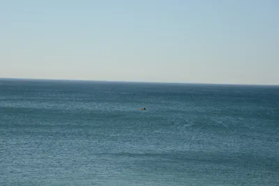 DSC_1442 (Large).JPG